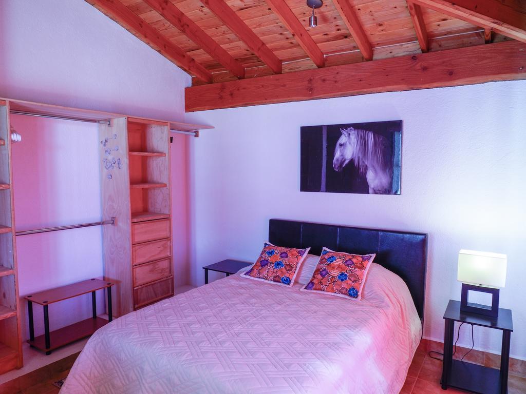 Little Nest En Rancho El Rossinyol Guest House Valle de Guadalupe Exterior foto